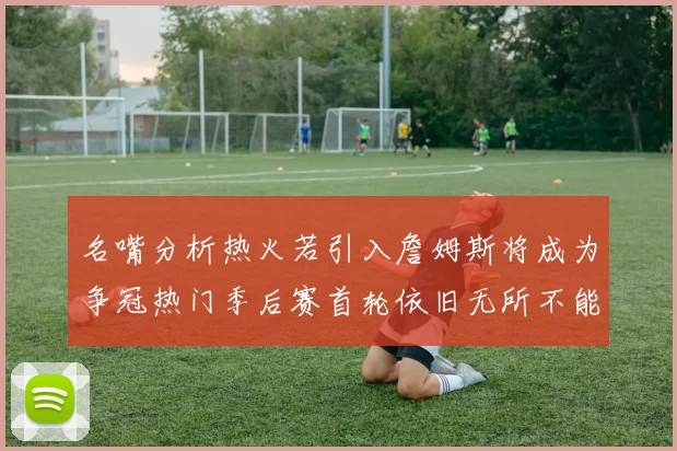名嘴分析热火若引入詹姆斯将成为争冠热门季后赛首轮依旧无所不能